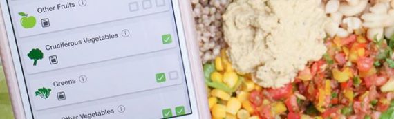 A Balanced Plant-Based Diet – How