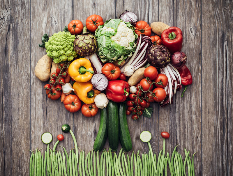 Why A Plant-Based Diet Is Better